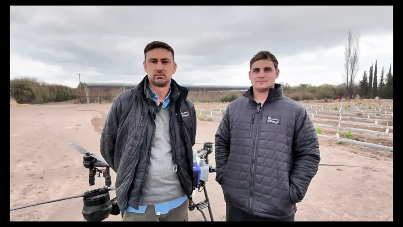 Drones agrícolas en Mendoza: tecnología que pulveriza sobre mallas antigranizo