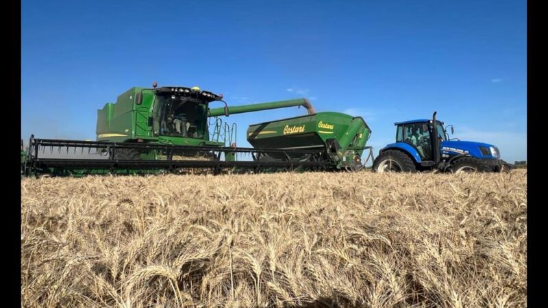 Negocios del Campo: Mañana se realizará nueva edición del clásico del sector agropecuario