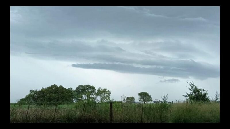 Alerta por ‘El Niño’: cómo se prepara la principal región agrícola ante el pronóstico de fuertes lluvias para el último trimestre