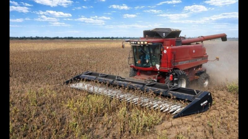 Ombú renovó la tecnología del cabezal girasolero CGO
