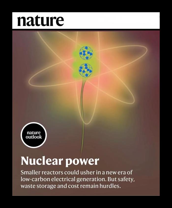 Argentina y el OIEA exploran expansión de la industria nuclear